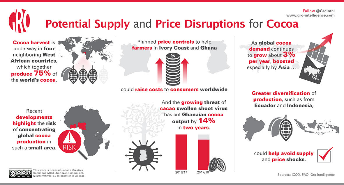 Why the global cocoa market is melting down