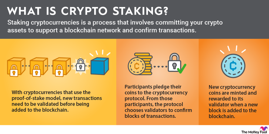 How to Identify the Most Rewarding Crypto Staking Coins