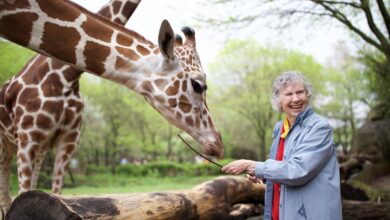 Anne innis dagg devoted her life to the worlds tallest creature