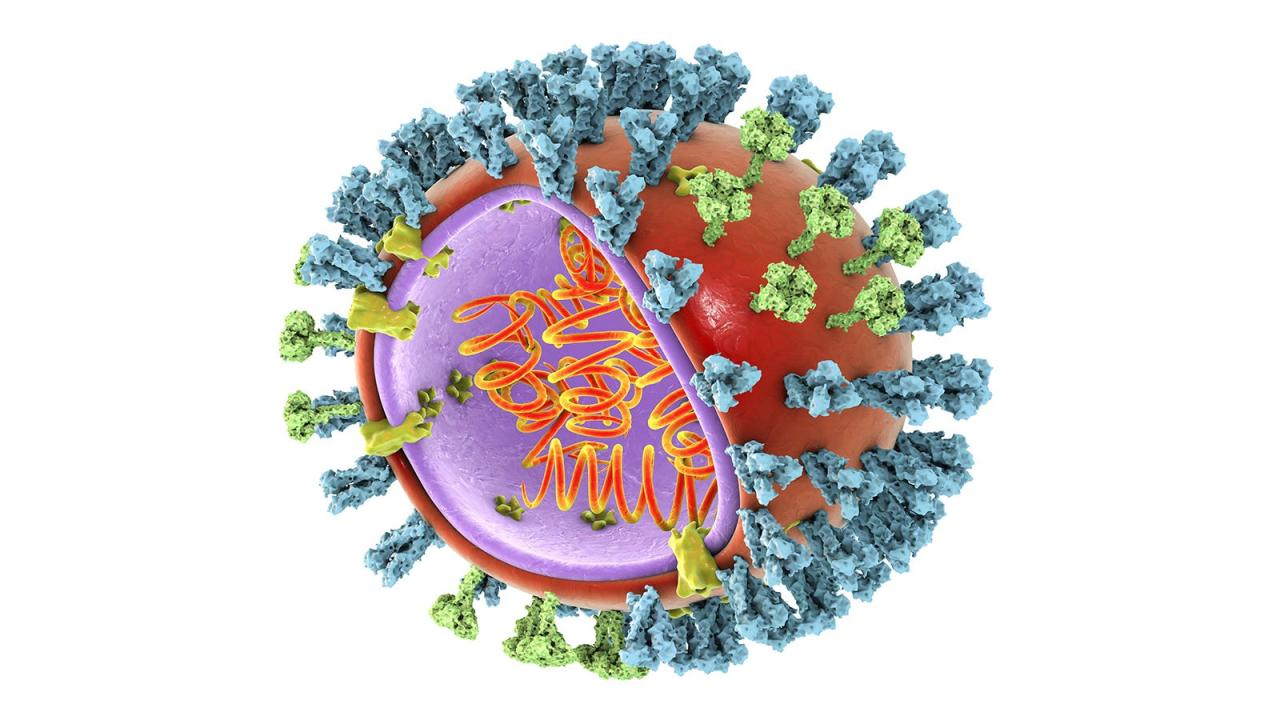 H5n1 avian flu could cause a human pandemic