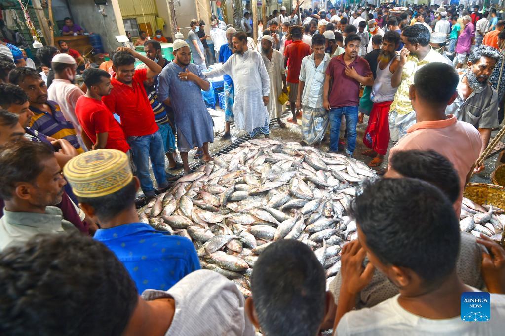 What ilish a fish says about india bangladesh relations