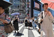 Lost in stagnation interpreting japans economy