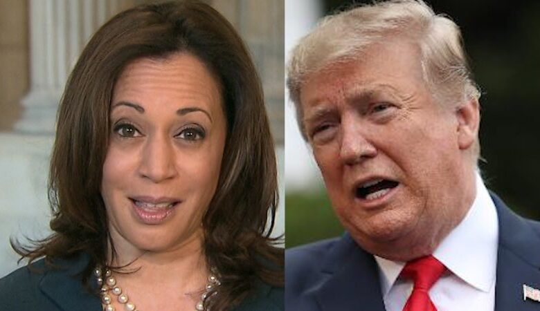 Kamala harris makes donald trump look out of his depth