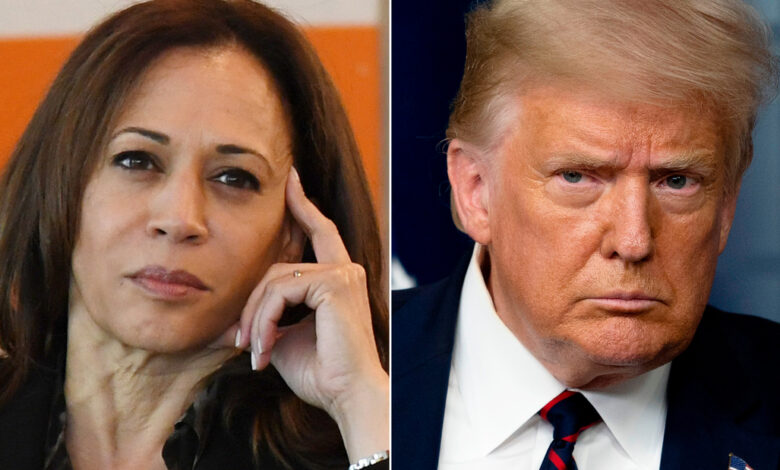 Kamala debate insults