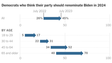 Democrats rally behind biden