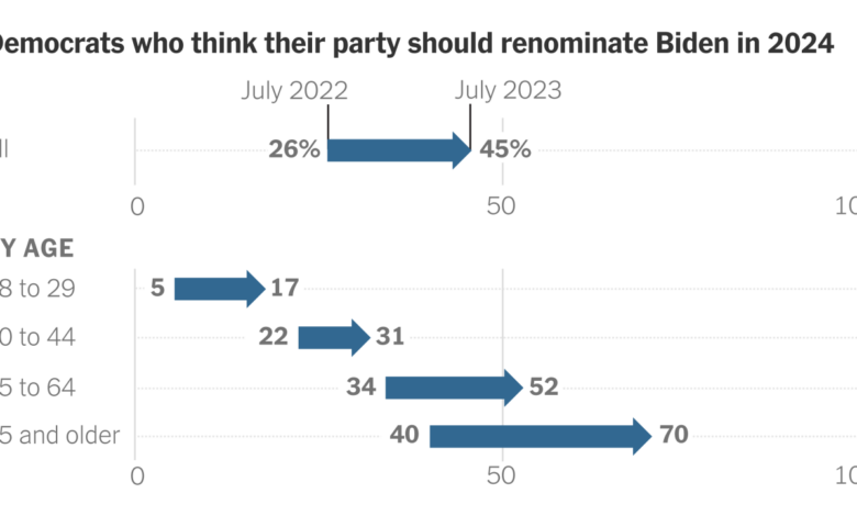 Democrats rally behind biden