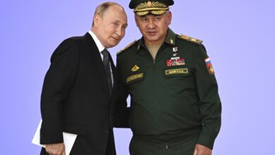 Sergei shoigus sacking points to yet more attrition in ukraine