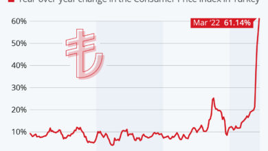 Turkeys long hard struggle with inflation