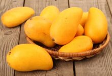 In praise of mangoes