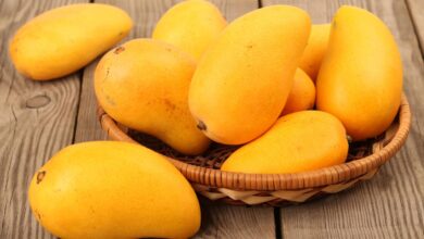 In praise of mangoes