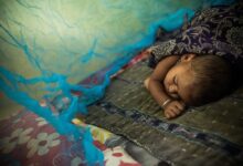 New fronts are opening in the war against malaria