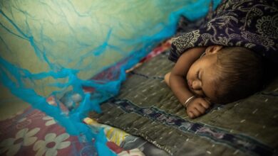 New fronts are opening in the war against malaria