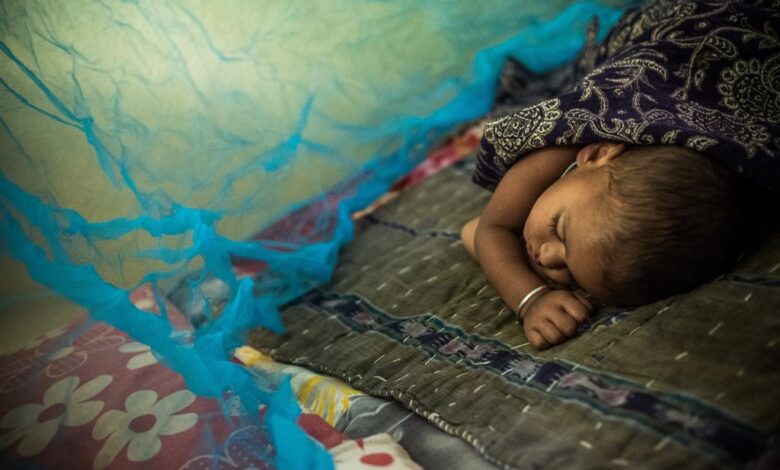 New fronts are opening in the war against malaria