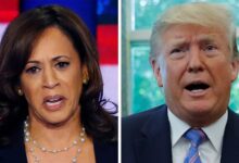 How far do kamala harris and donald trump differ on policy