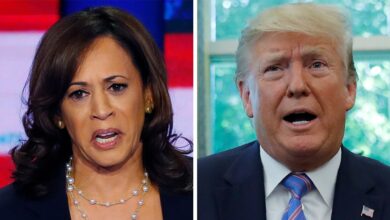 How far do kamala harris and donald trump differ on policy