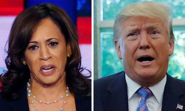 How far do kamala harris and donald trump differ on policy