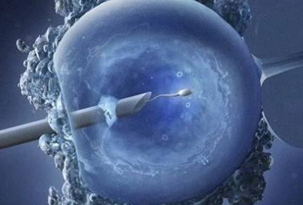 Will ivf really be the next frontier in americas culture wars