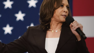 Can kamala harris win michigan without arab american voters