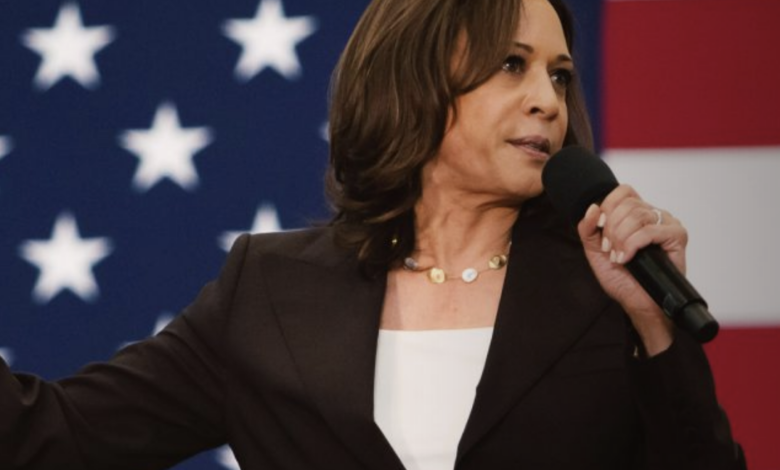 Can kamala harris win michigan without arab american voters