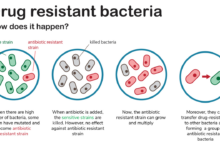 Ara darzi on why antibiotic resistance could be deadlier than cancer