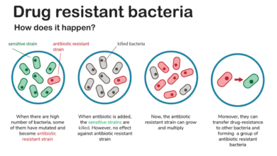 Ara darzi on why antibiotic resistance could be deadlier than cancer