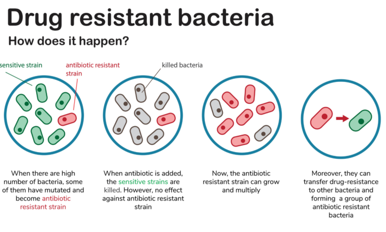 Ara darzi on why antibiotic resistance could be deadlier than cancer