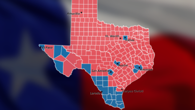 Politics is the law in texas