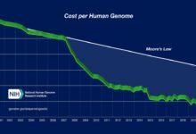 Genomic medicines can cost 3m a dose how to make them affordable