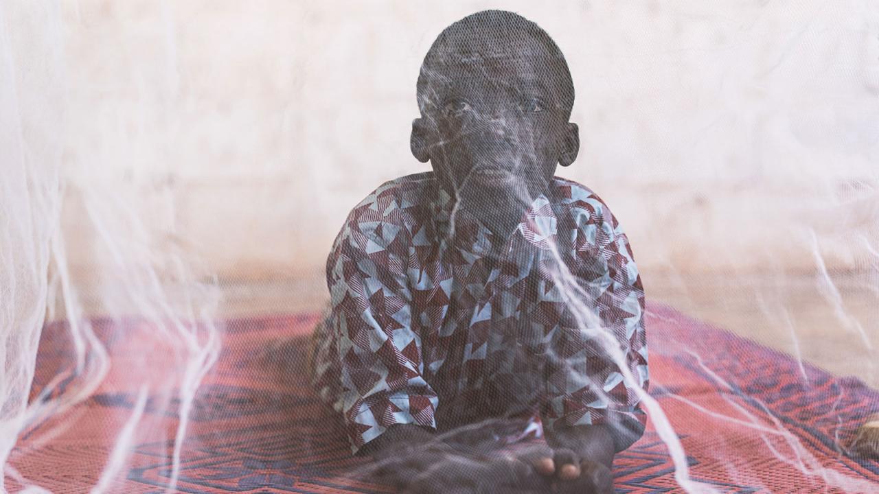 New fronts are opening in the war against malaria