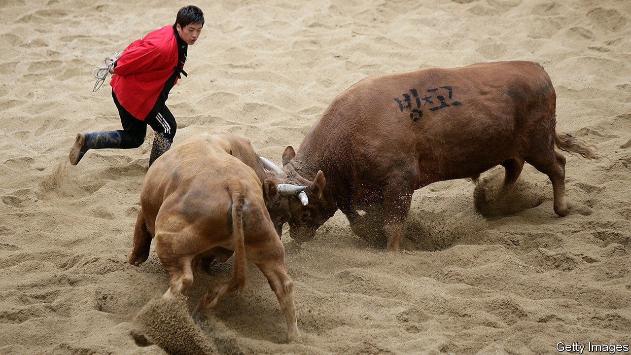 Bullfighting is under attack