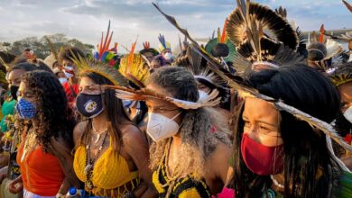 The plight of brazils indigenous groups worsens