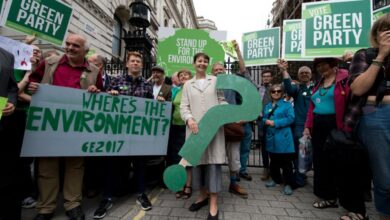 Could the greens become a force in british politics