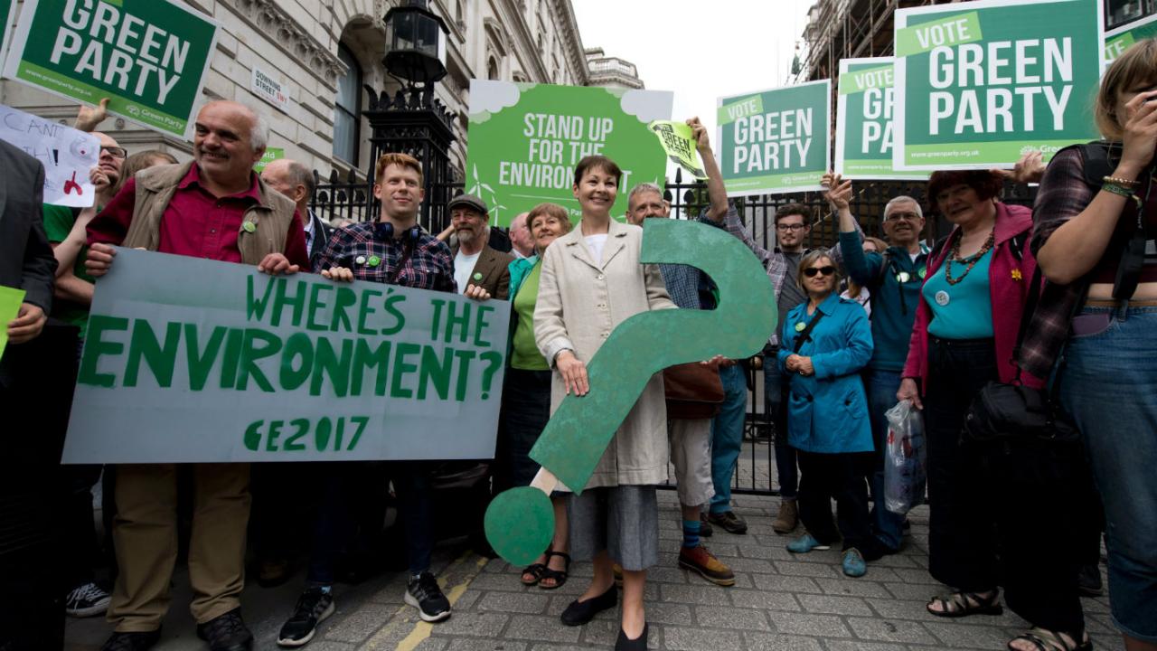 Brighton surge election protest lse placement hove Could the greens become a force in british politics