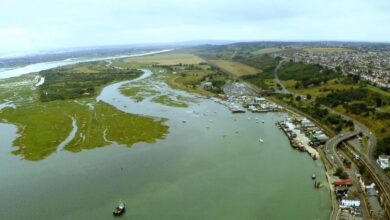 Thames estuary