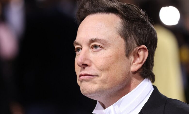 How bosses should play politics the cautionary tale of elon musk