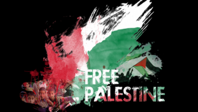 Palestine countries recognize conflict committed organizations transcend