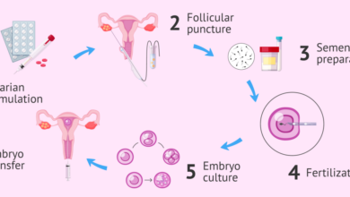 Will ivf really be the next frontier in americas culture wars