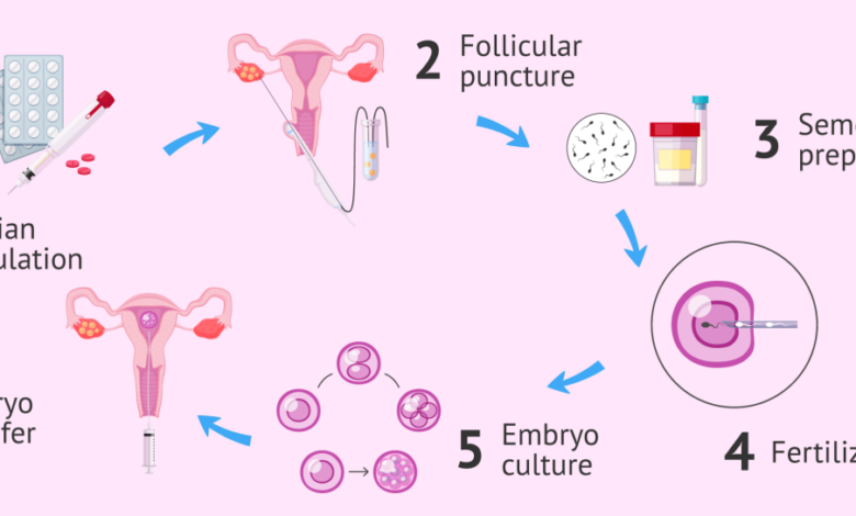 Will ivf really be the next frontier in americas culture wars