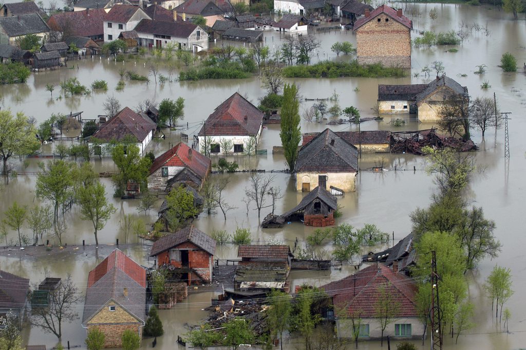 Inaction costs assessing historical