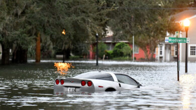 Hurricane milton exposes the dangers of floridas development boom