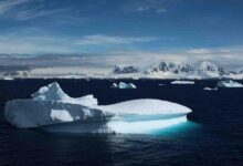 Melt antarctica melting unstoppable