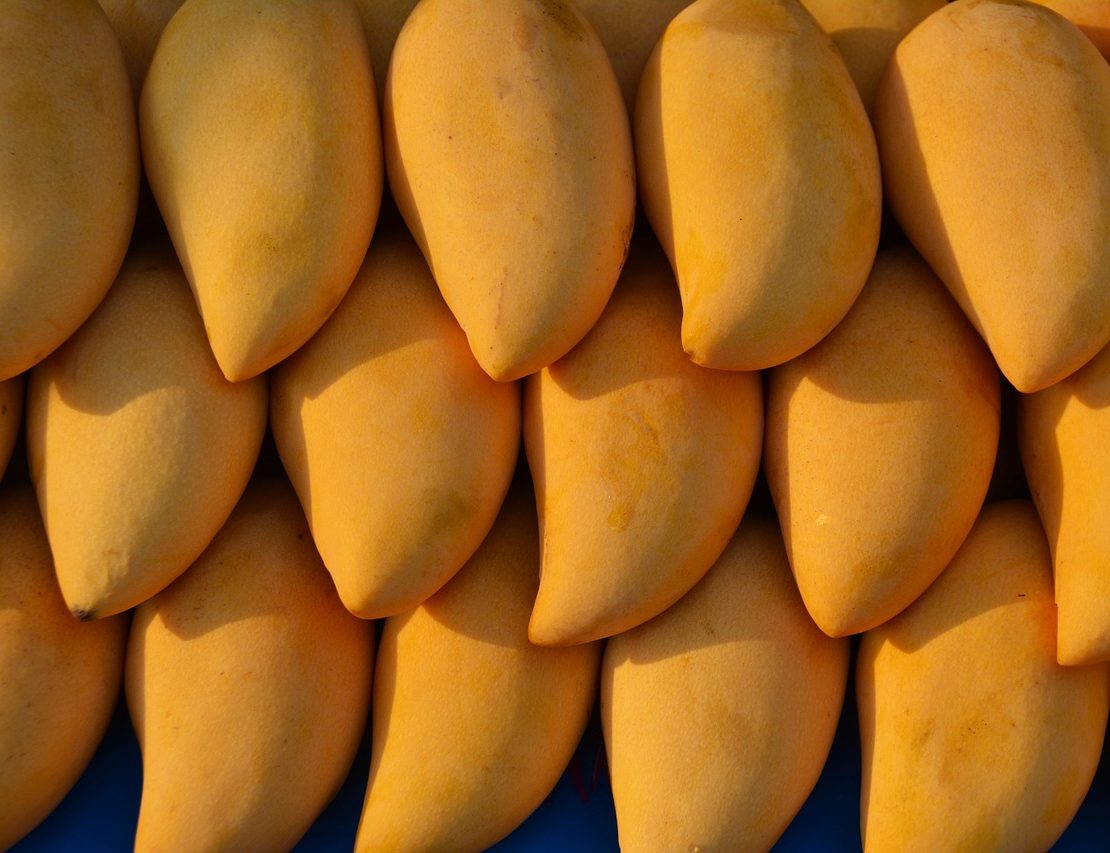 In praise of mangoes