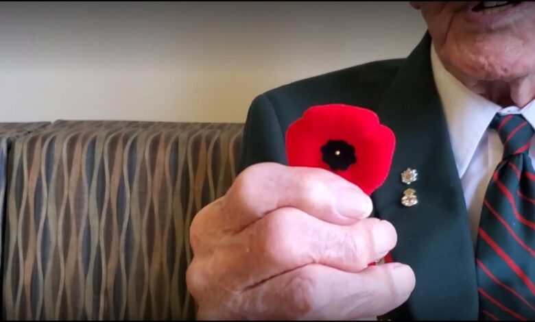 What does it mean to wear a poppy today