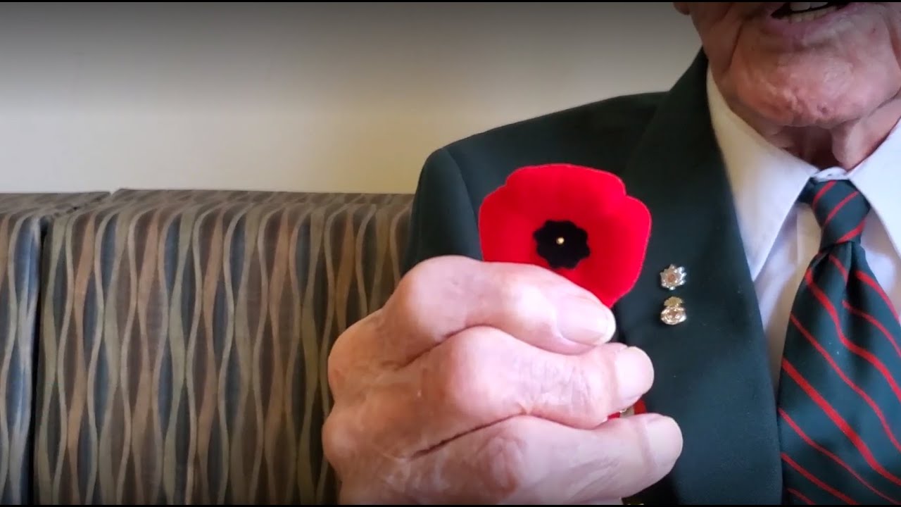 What does it mean to wear a poppy today