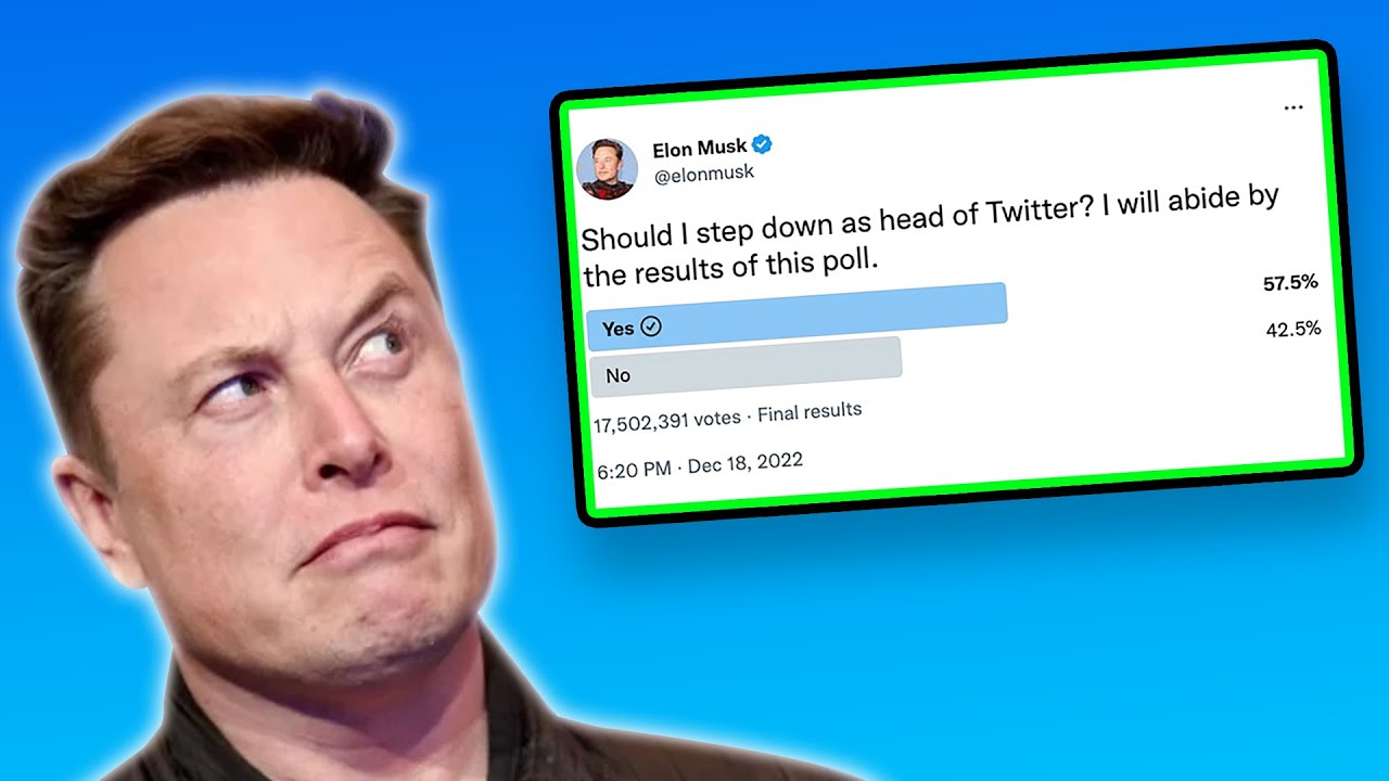 What would elon musk do in government