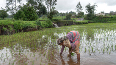 Climate change is making the monsoon more dangerous