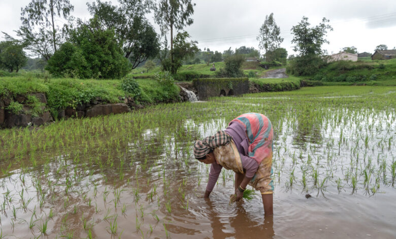 Climate change is making the monsoon more dangerous