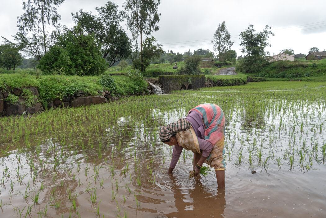 Climate change is making the monsoon more dangerous