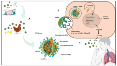 H5n1 avian flu could cause a human pandemic