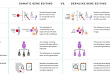 Editing genomics